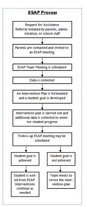 SAP Process